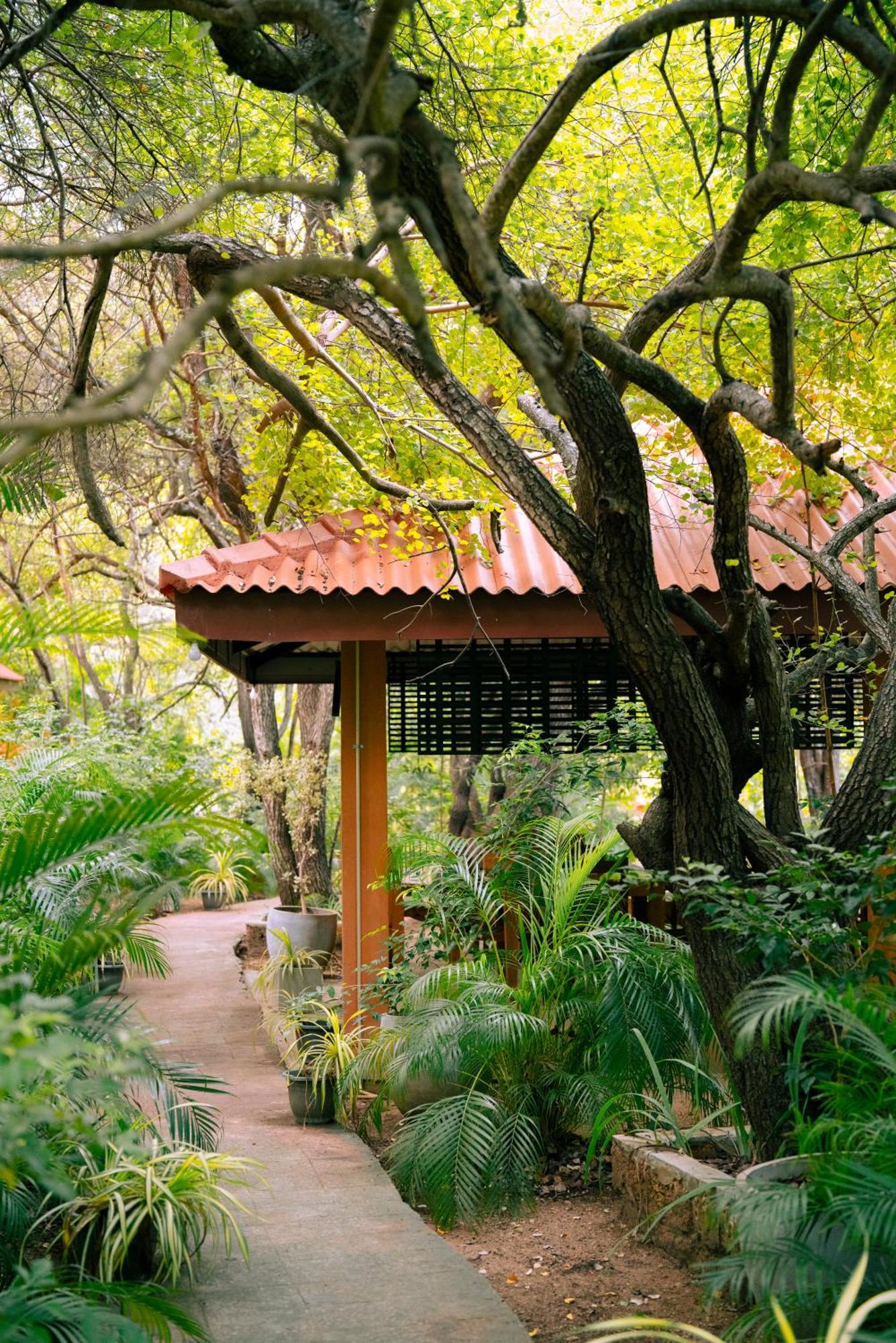 Safari Lodge Yala Kataragama Extérieur photo