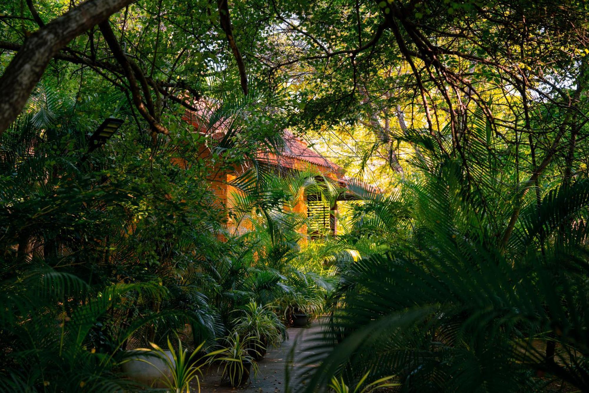 Safari Lodge Yala Kataragama Extérieur photo