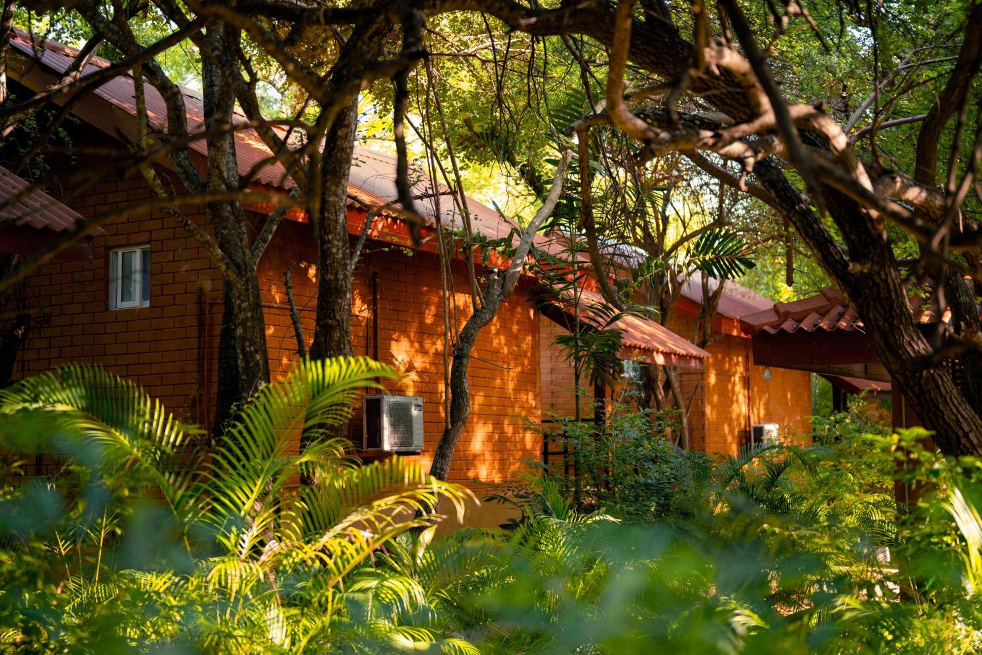 Safari Lodge Yala Kataragama Extérieur photo