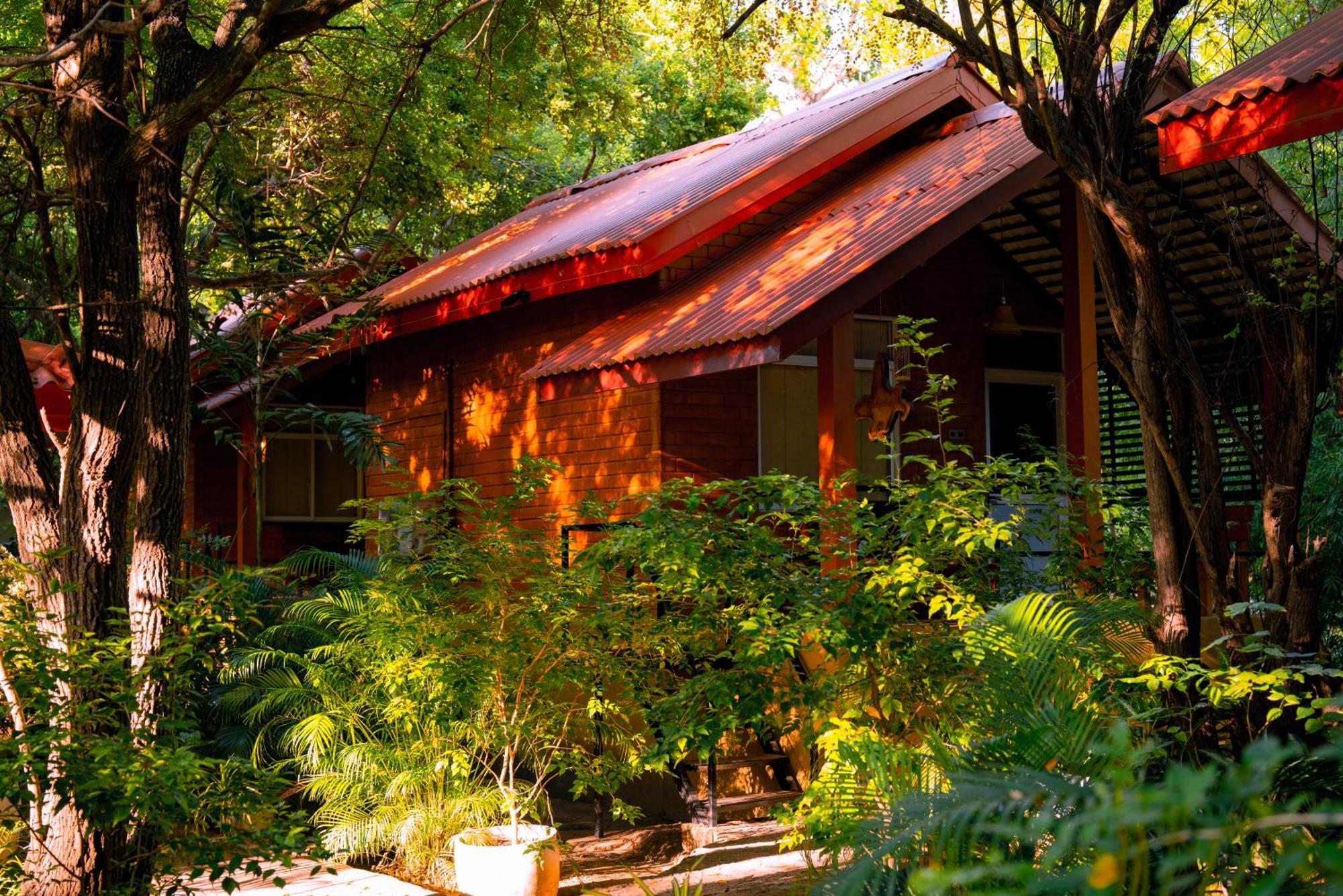 Safari Lodge Yala Kataragama Extérieur photo