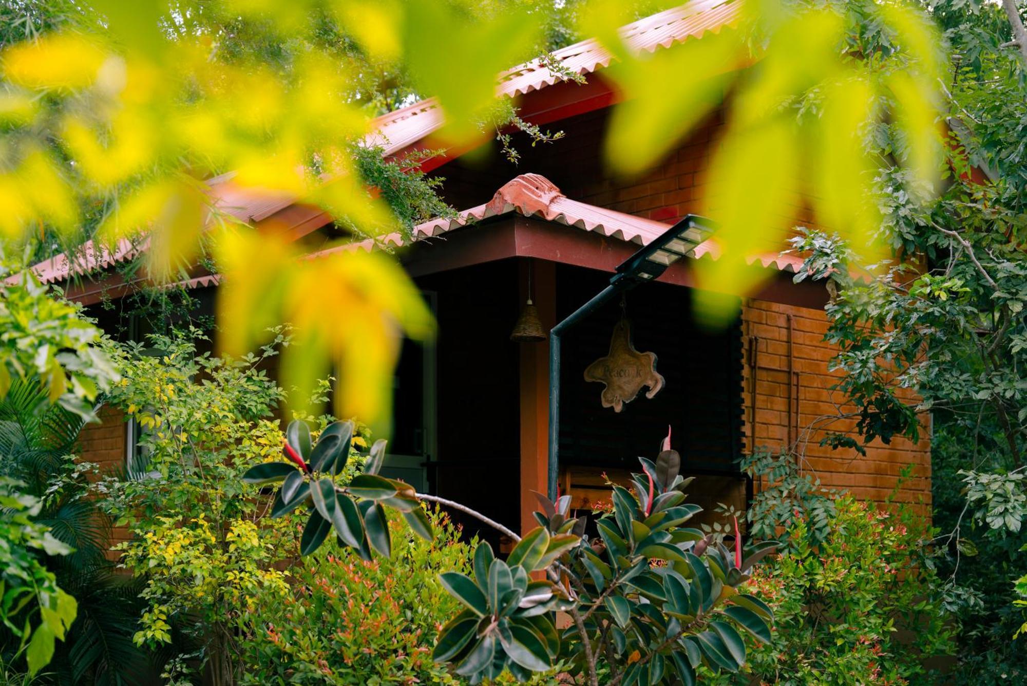 Safari Lodge Yala Kataragama Extérieur photo
