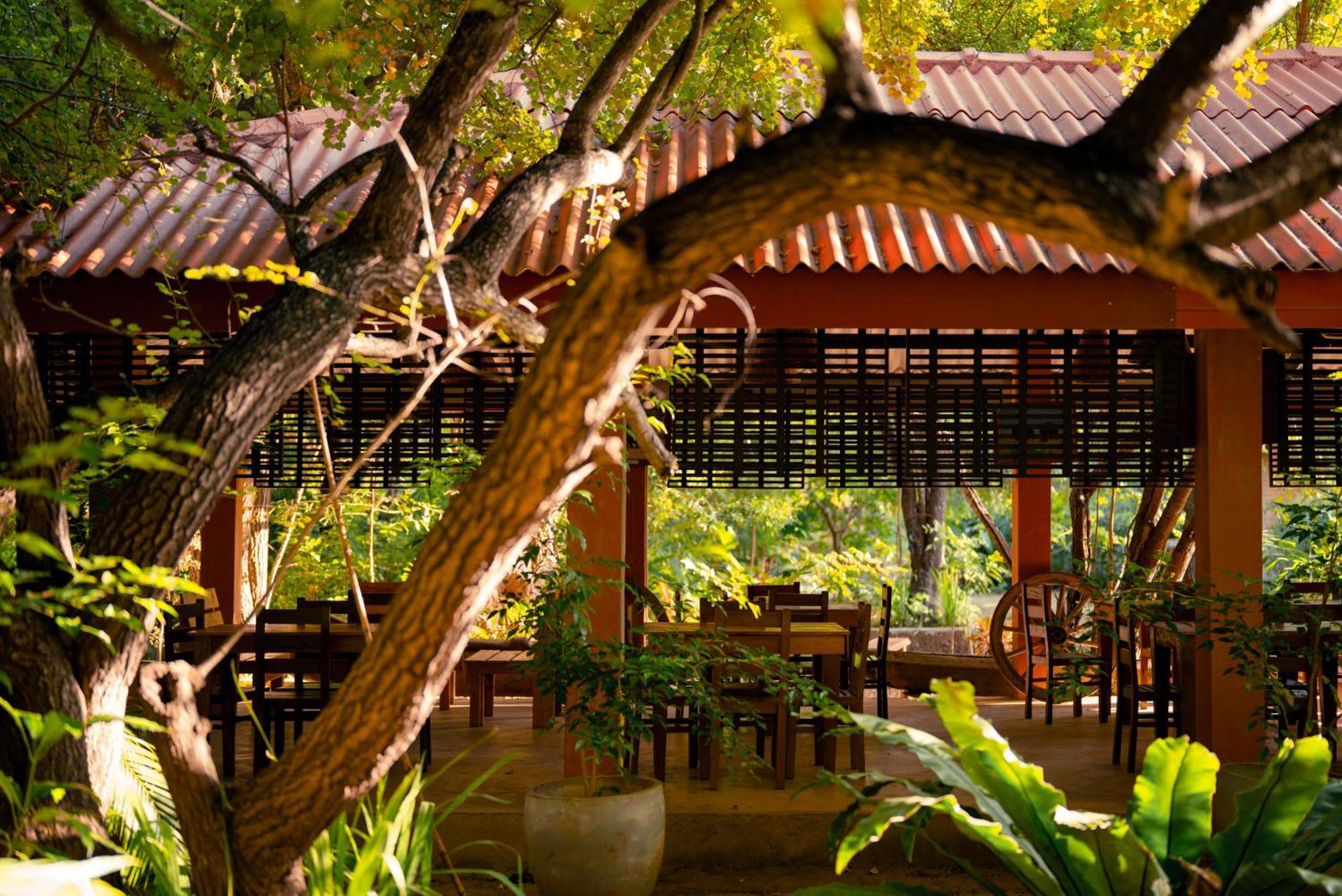 Safari Lodge Yala Kataragama Extérieur photo