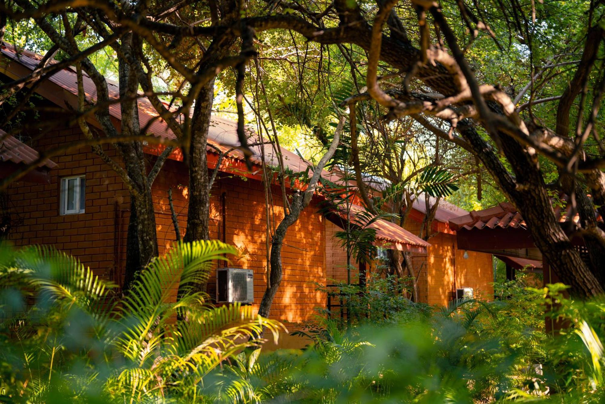 Safari Lodge Yala Kataragama Extérieur photo