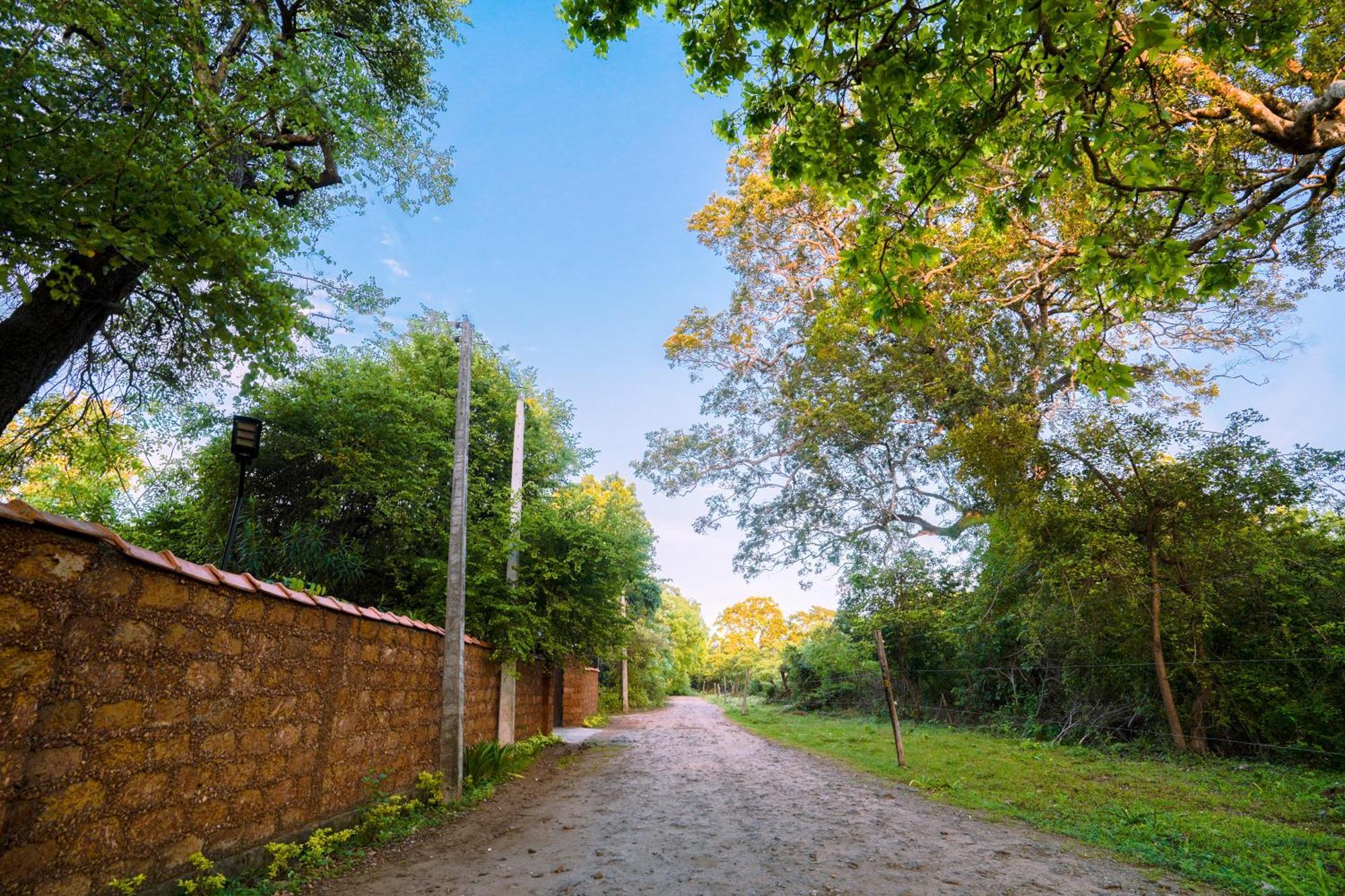 Safari Lodge Yala Kataragama Extérieur photo