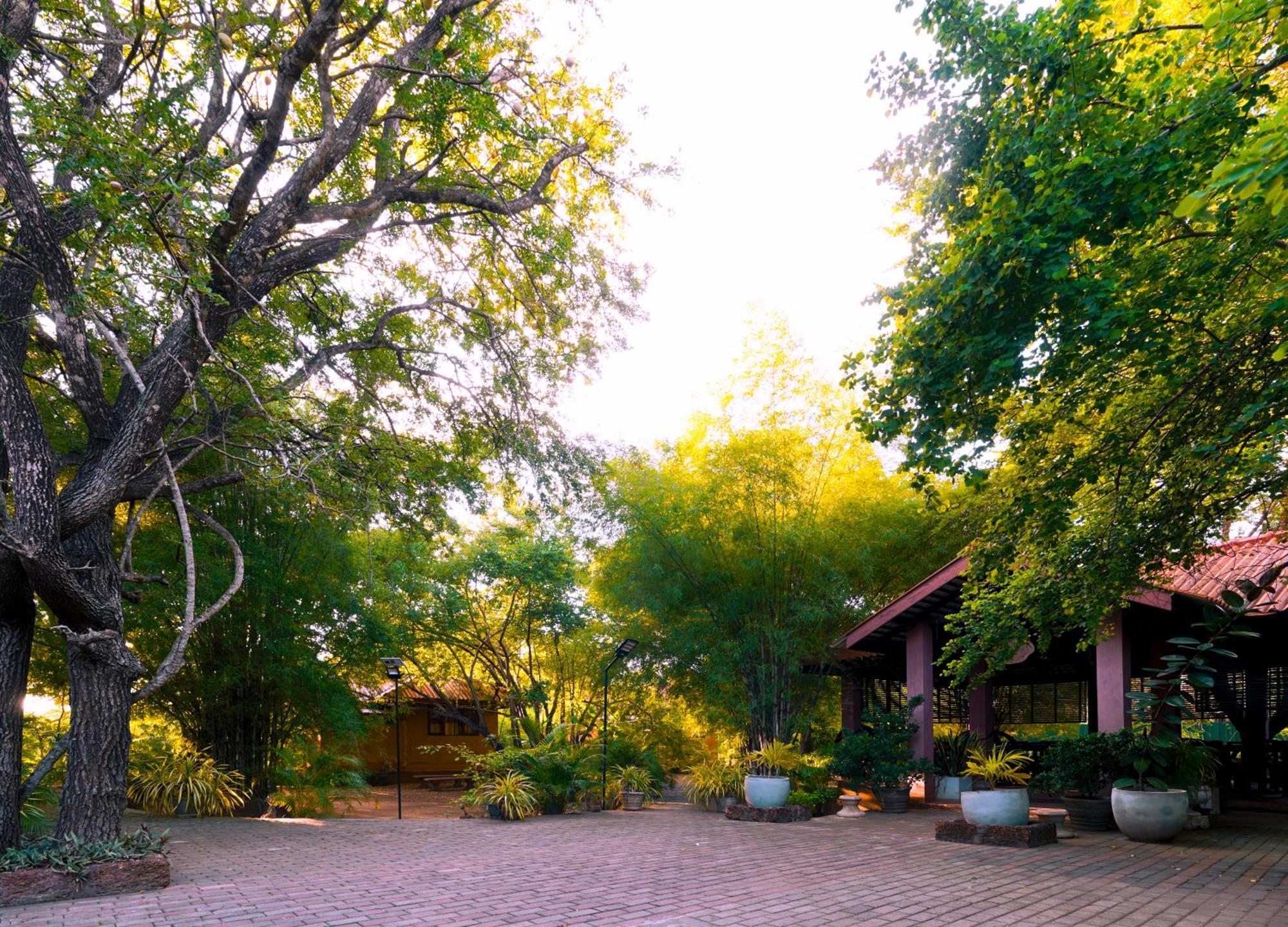 Safari Lodge Yala Kataragama Extérieur photo