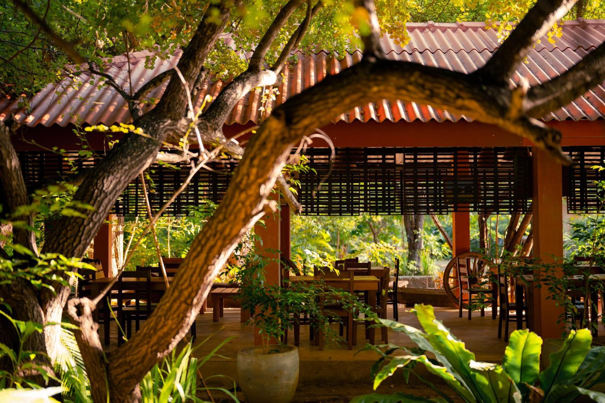 Safari Lodge Yala Kataragama Extérieur photo